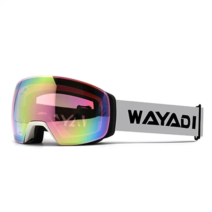 Сменяеми ски очила