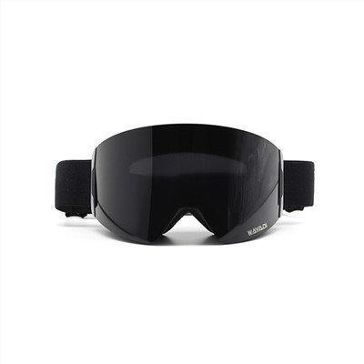 Ски очила OEM